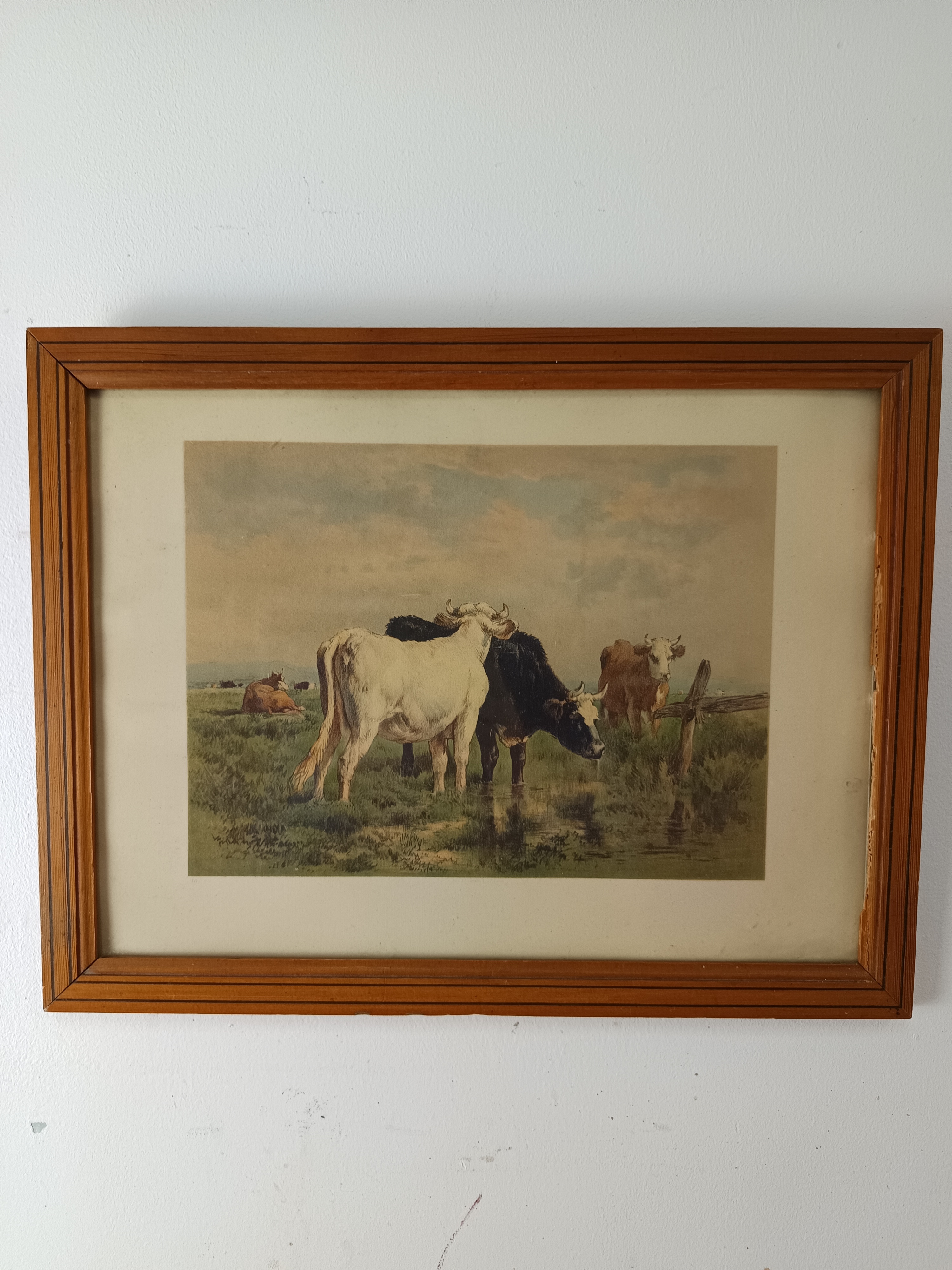 vaches tableau